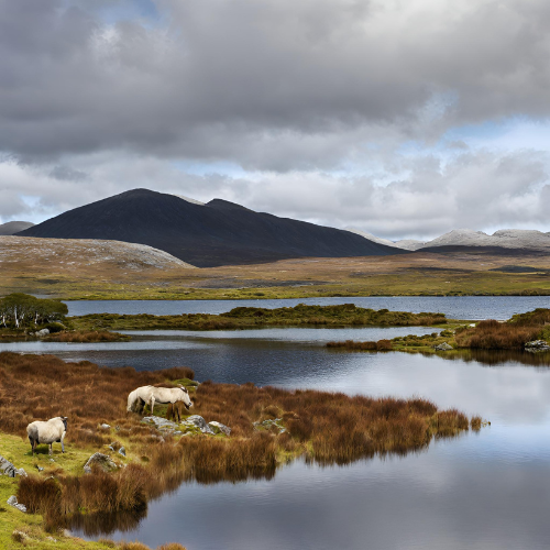 image représentative de la chanson Les lacs du Connemara